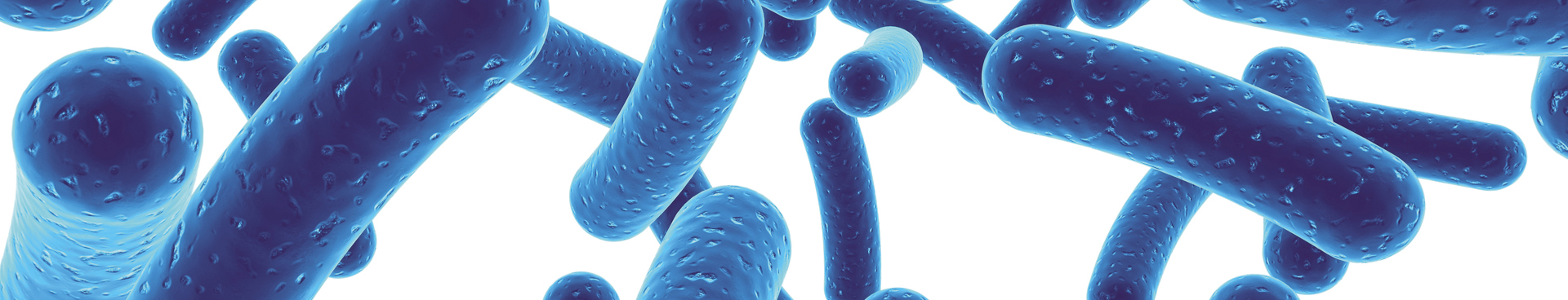 arthelio-Bifidobacterium-longum